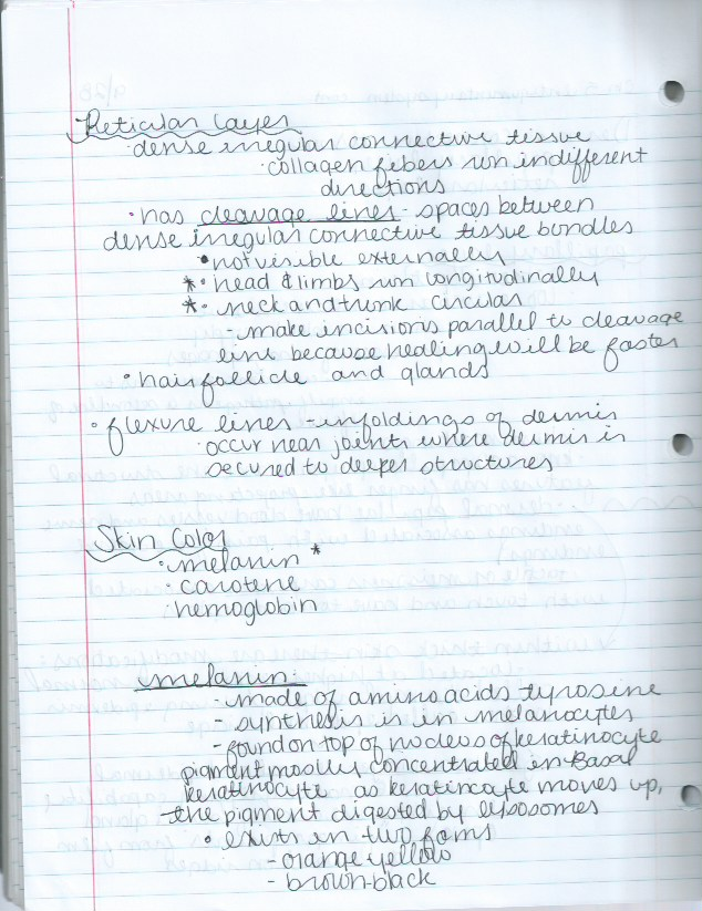 The Integumentary System 