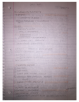 Notes preparing for exam 1