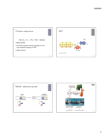 intro to biology week 6 of notes
