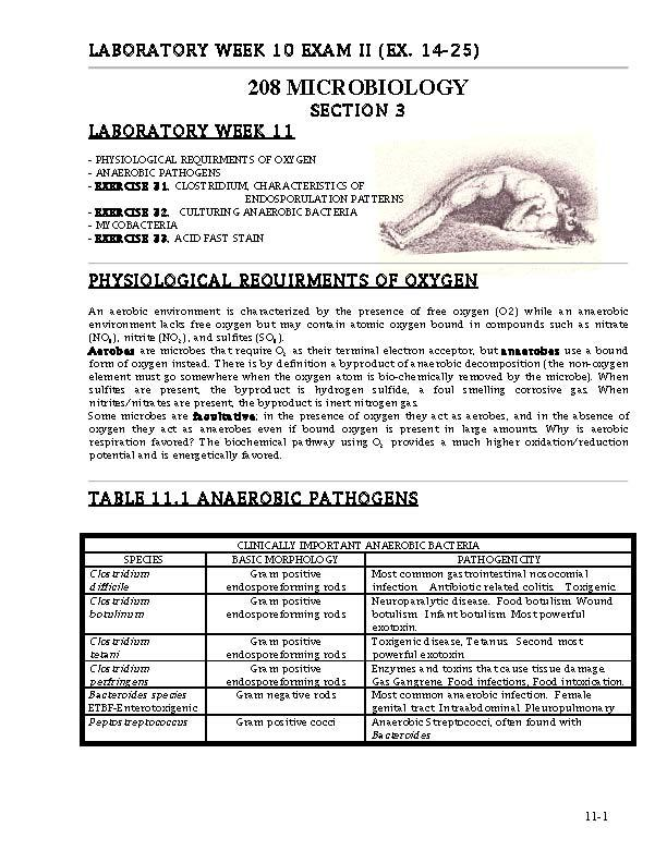 LAB GEN MICROBIOLOGY