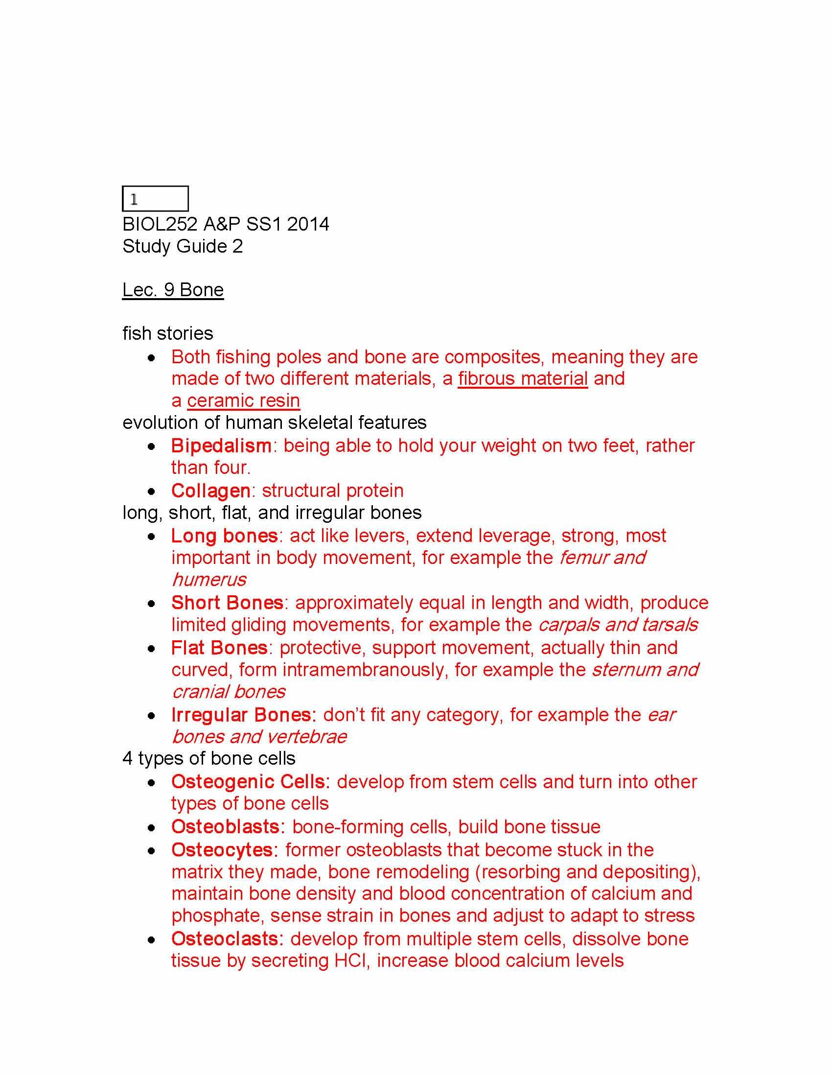 Fundamentals of Human Anatomy and Physiology