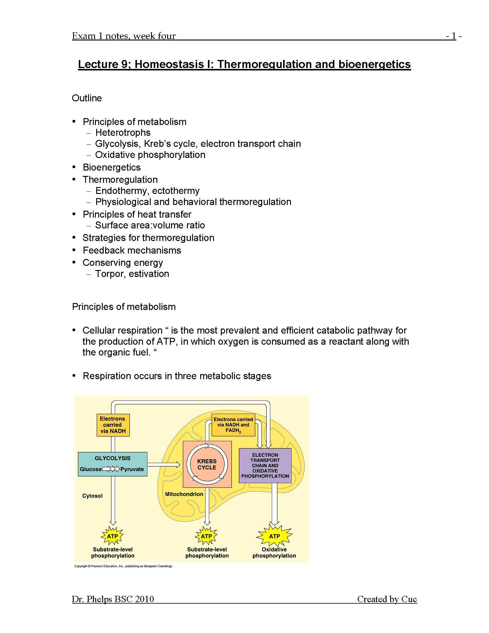 INTEGRA PRINC BIOL 1