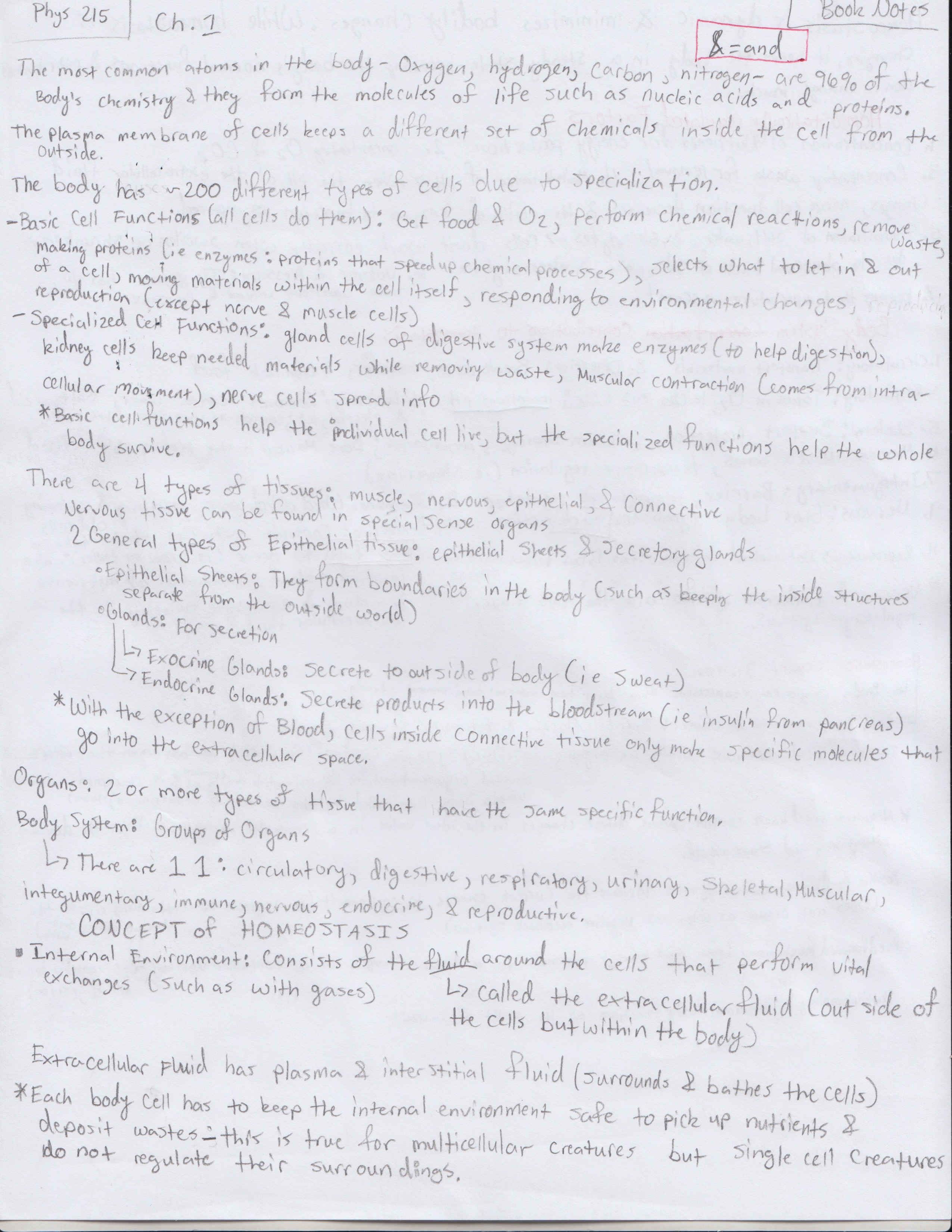 Chapters One and Two 