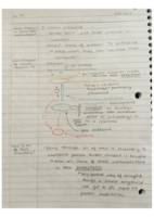 Bio110: Lectures 7 & 8