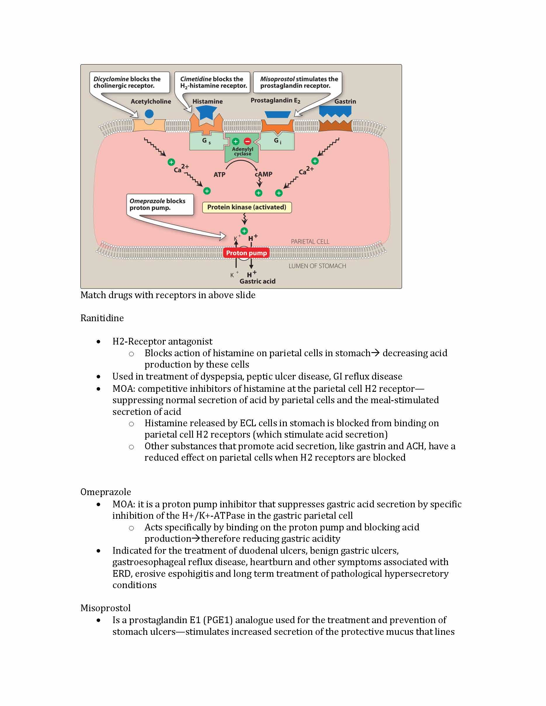 PharmacologyII