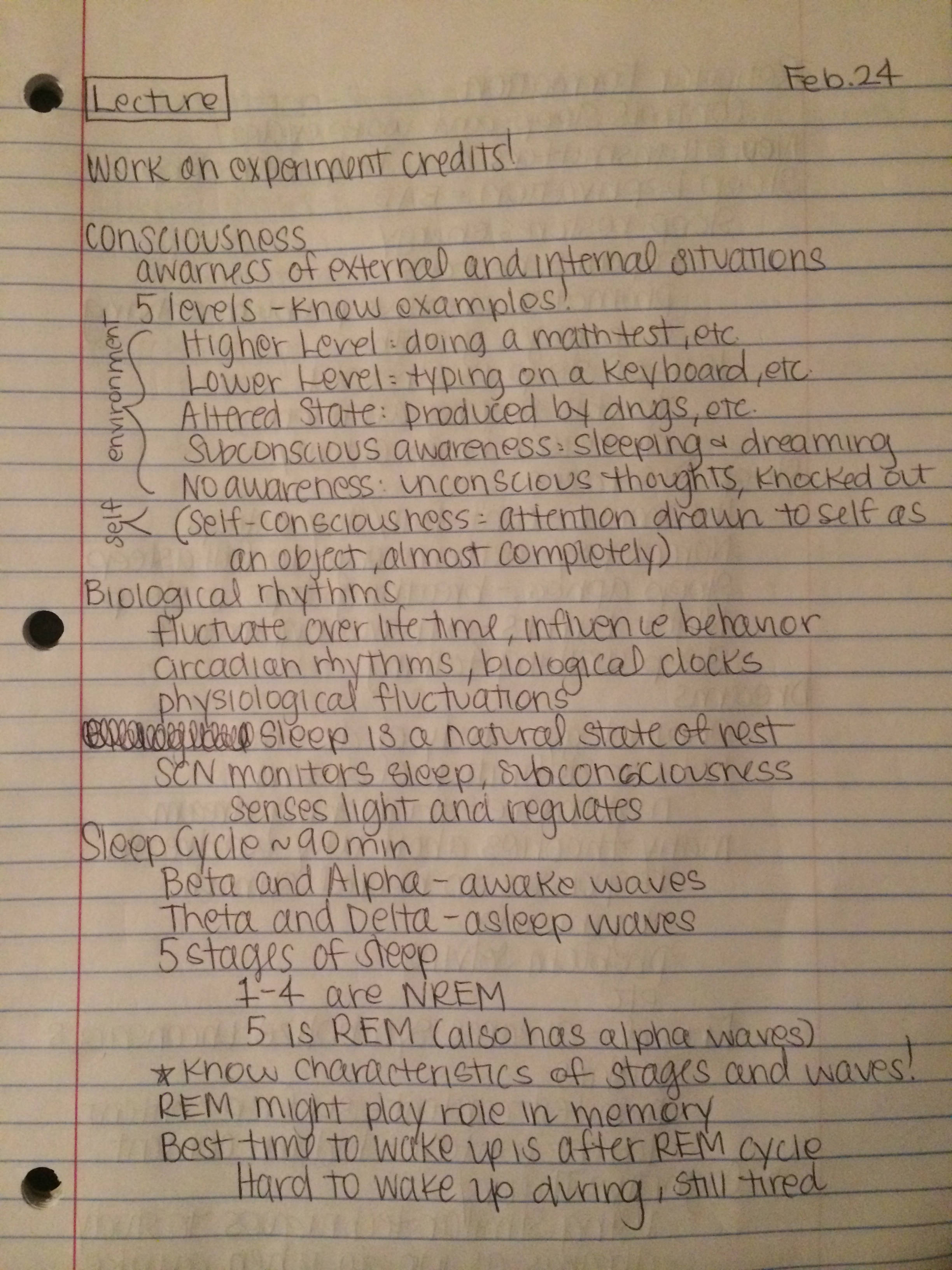 Class notes (Feb 24)