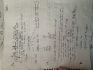 Linguistics 110 Study Guide 
