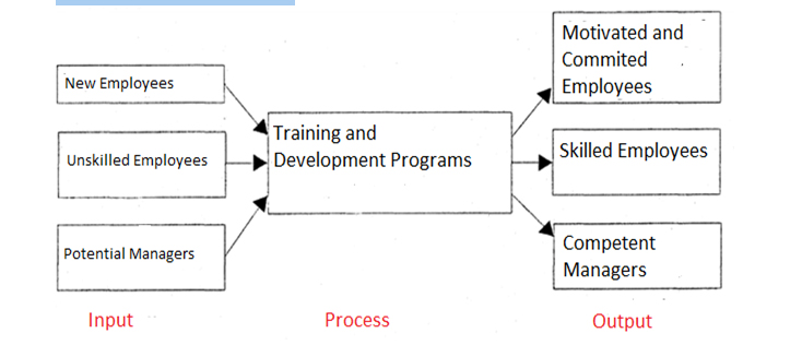 Human Resource management