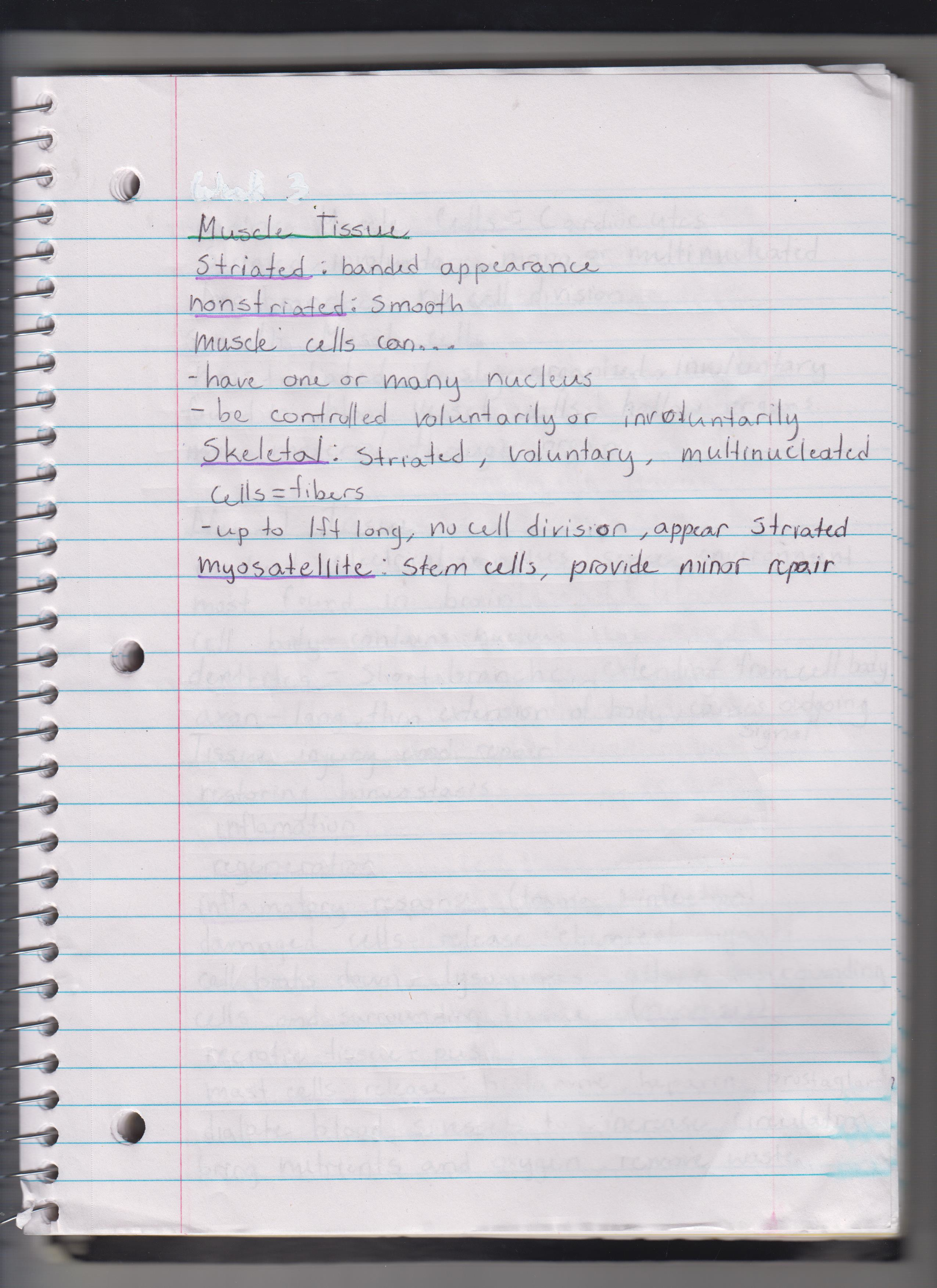 MCB 244 Summary Lecture Notes: Week 2