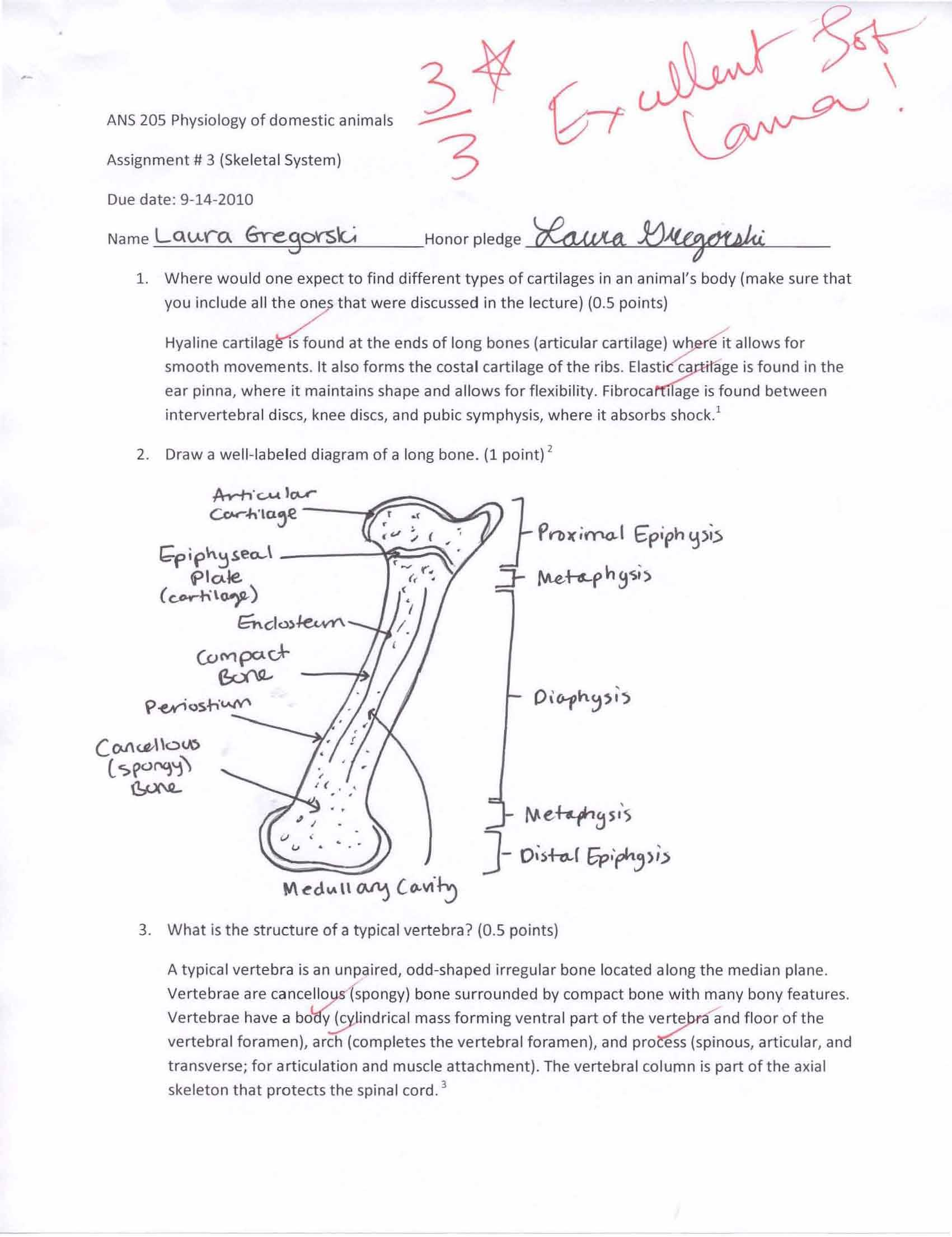 Physiology of Domestic Animals
