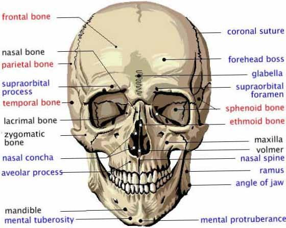 Small Group Communication