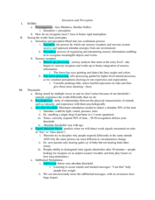 sensation and perception book notes