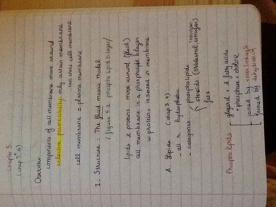 Week 3 lecture - bio 1