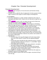 Child Psychology- Chapter 2: Prenatal Development