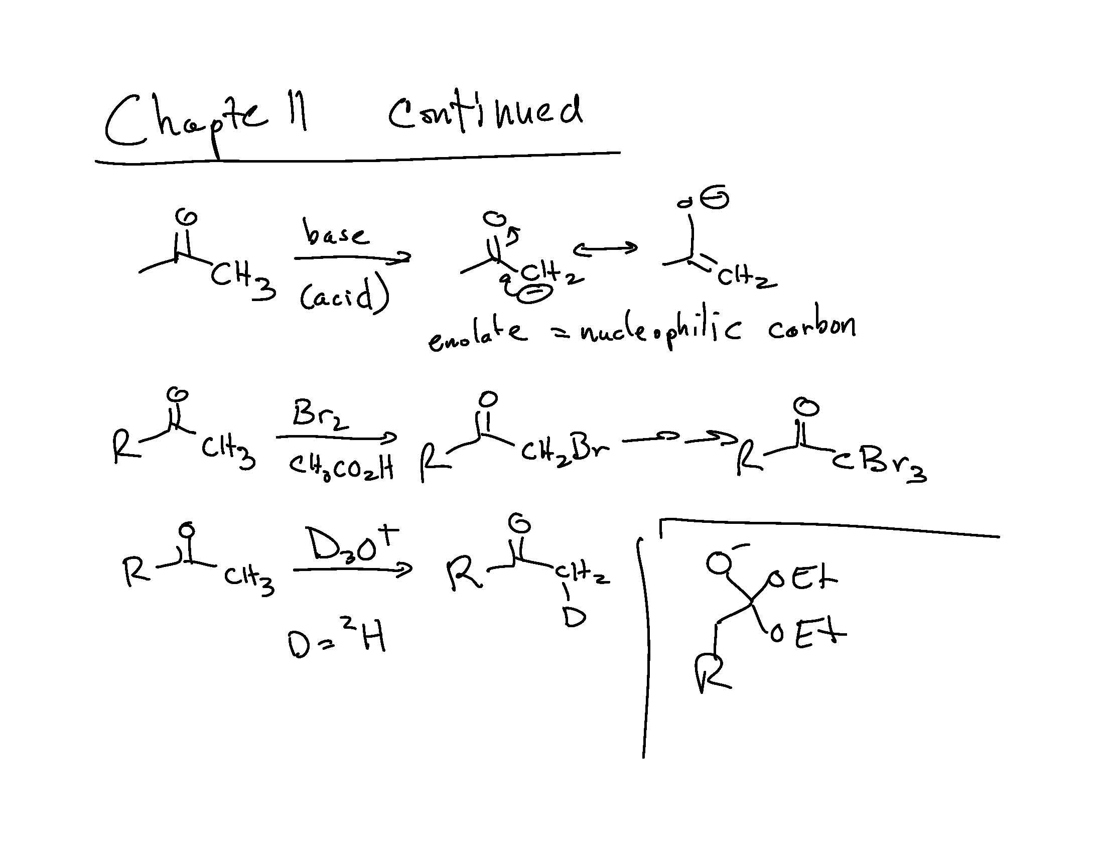 ORG CHEM SHORT PROG
