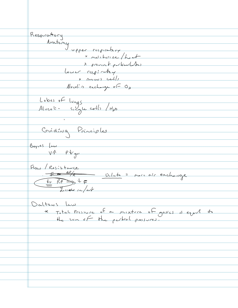 Exam 4 - Respiratory