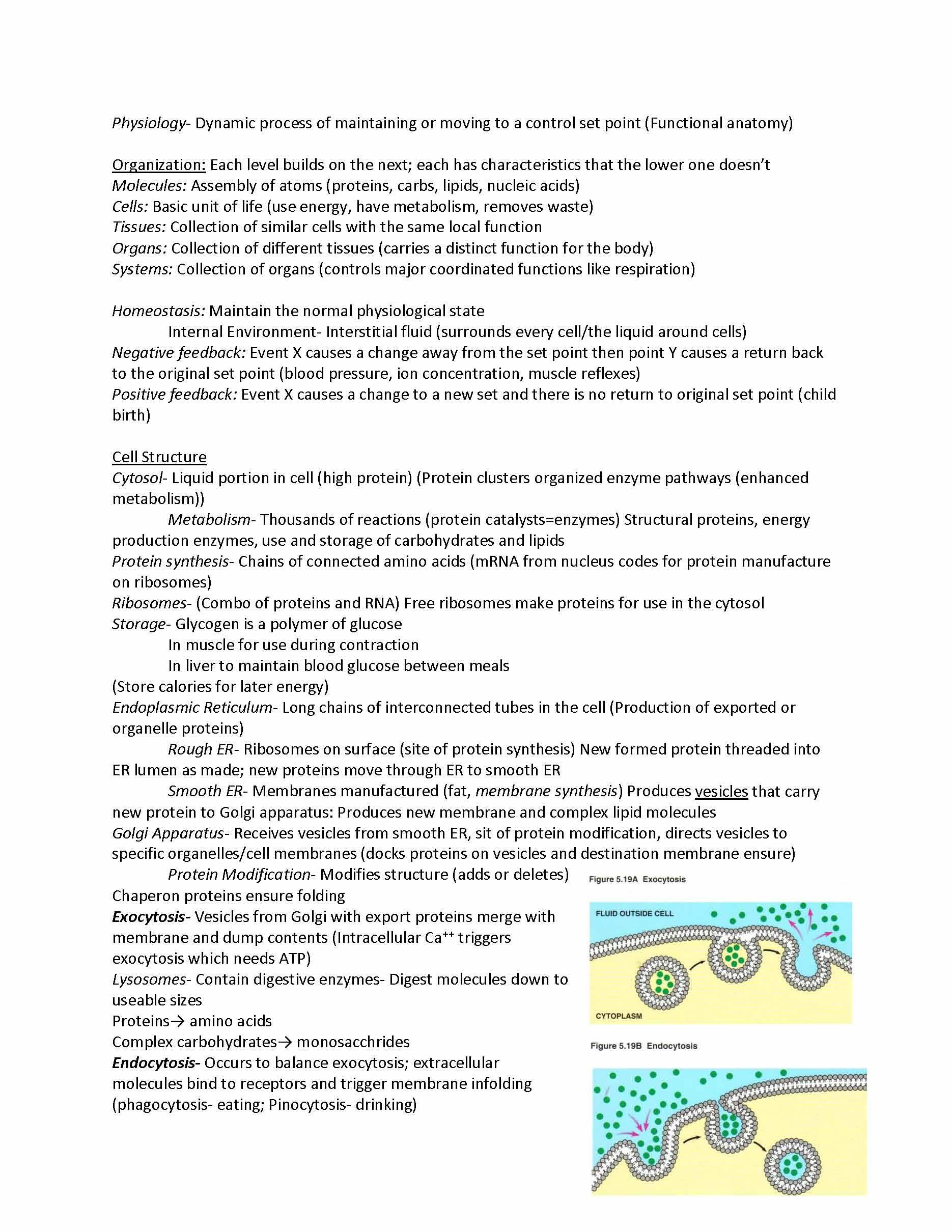 Pathophysiology