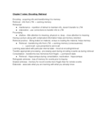 Chapter 7 week notes and practice quiz