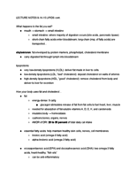 Week 4 Lecture Notes