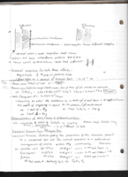 Week 2 Lecture Notes