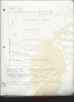 Final Study Guide 