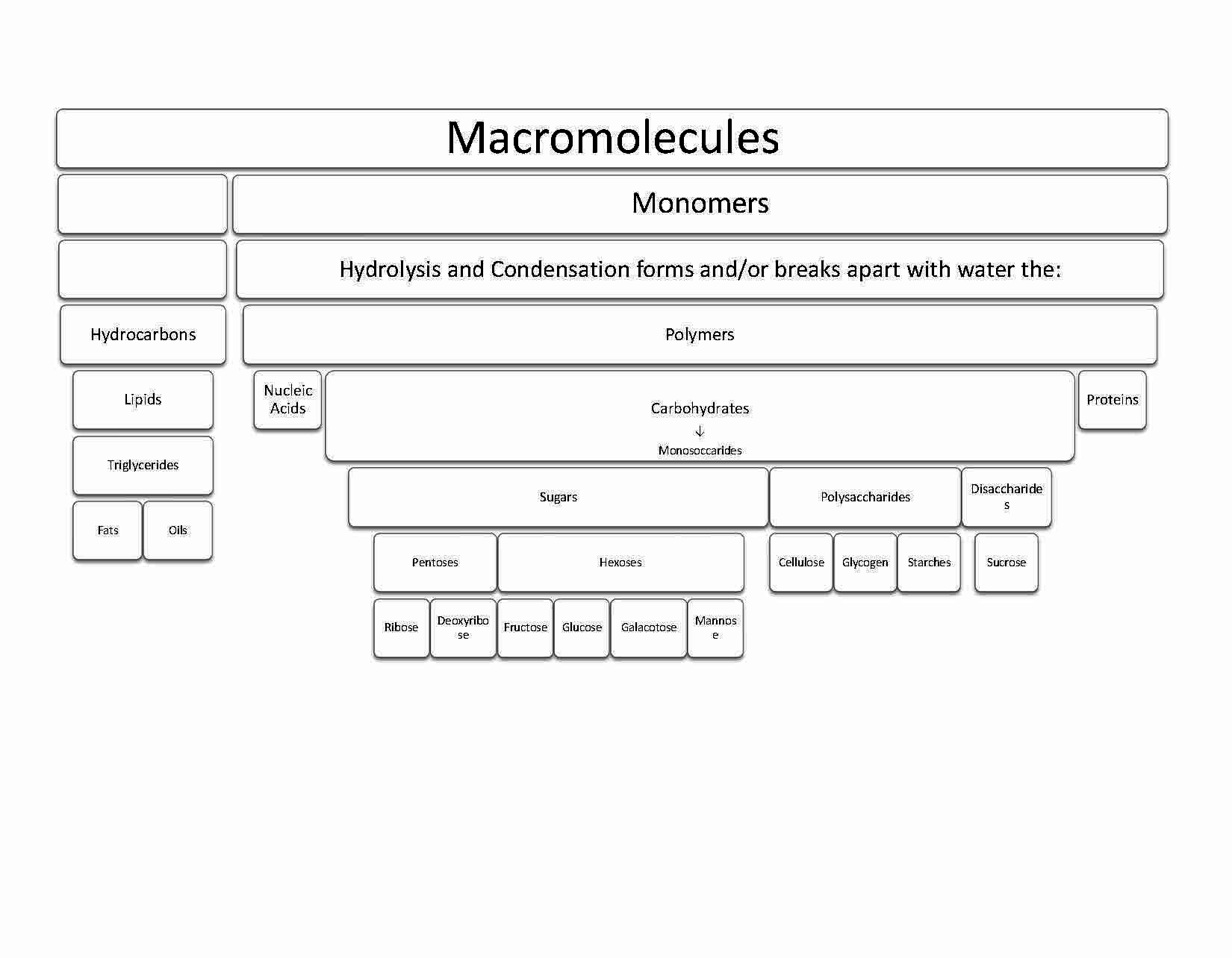 INTEGRA PRINC BIOL 1