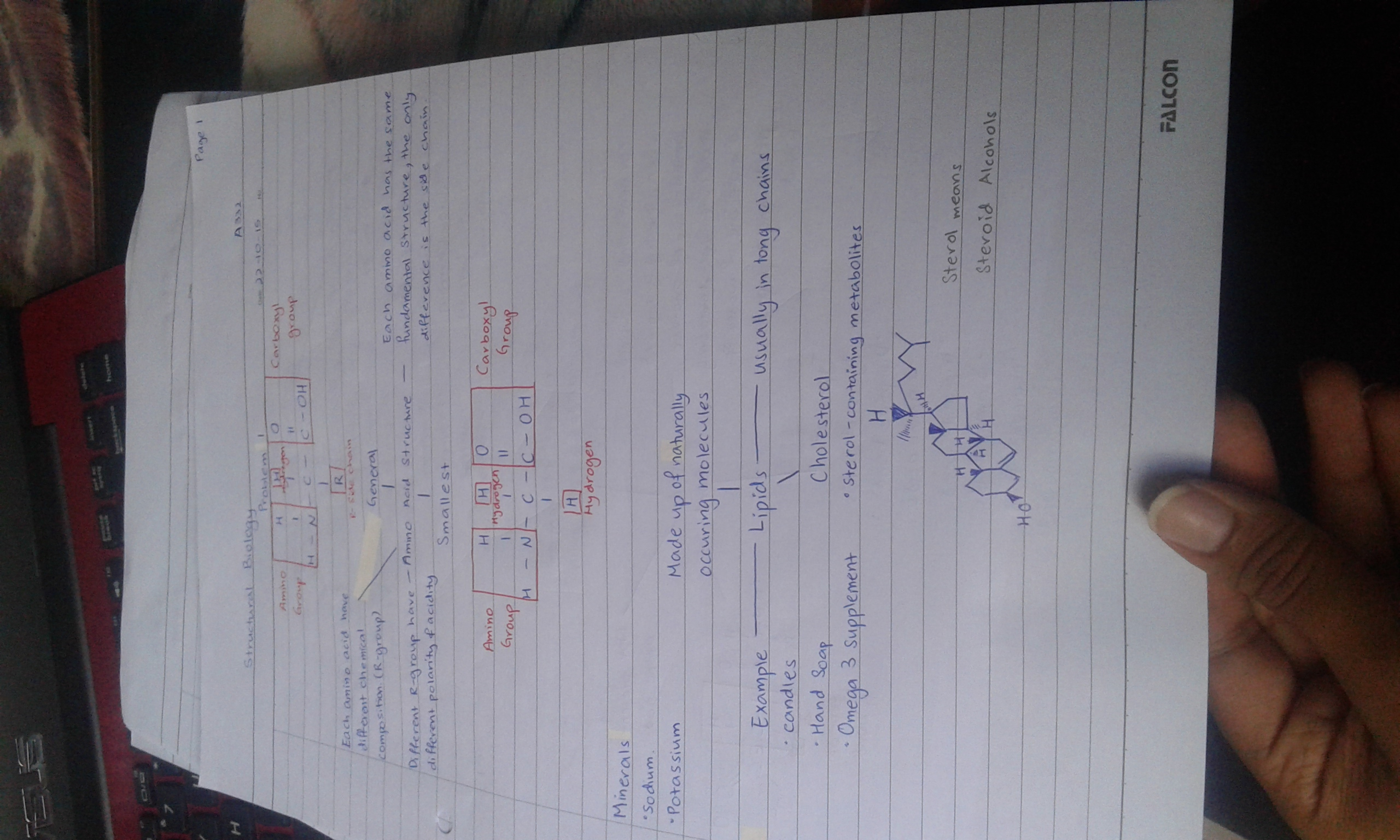 1st Class out of 13 Class