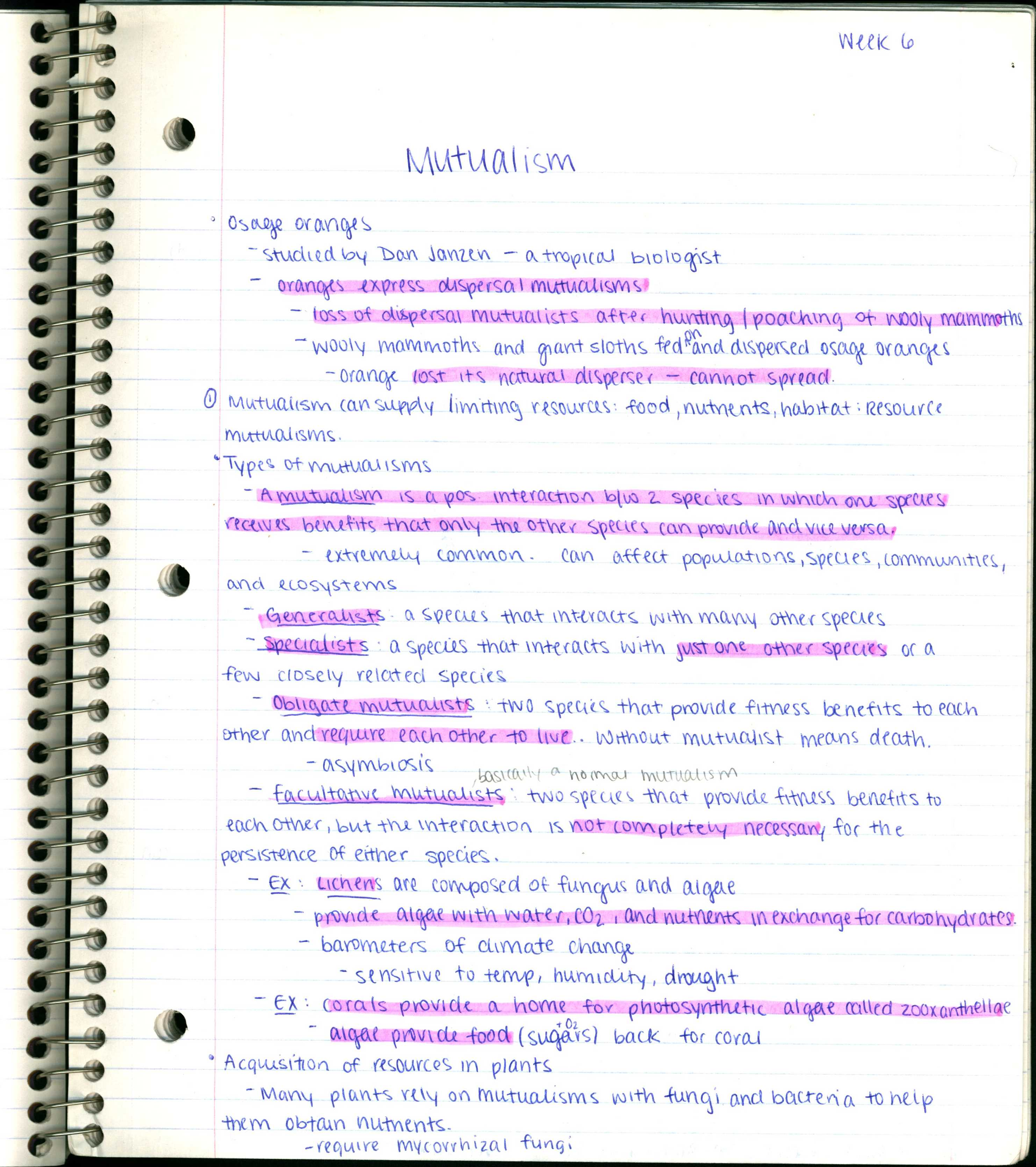 Week 6 Notes