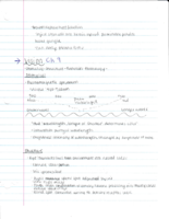 Brain and Behavior-Ch9 -Vision