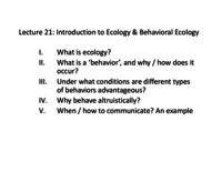 L21 Behavior