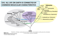 Week 1 Lecture Notes