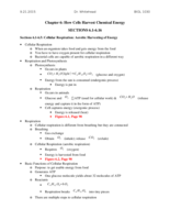 Chapter 6 Notes