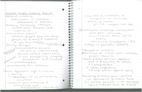 Week 2 notes