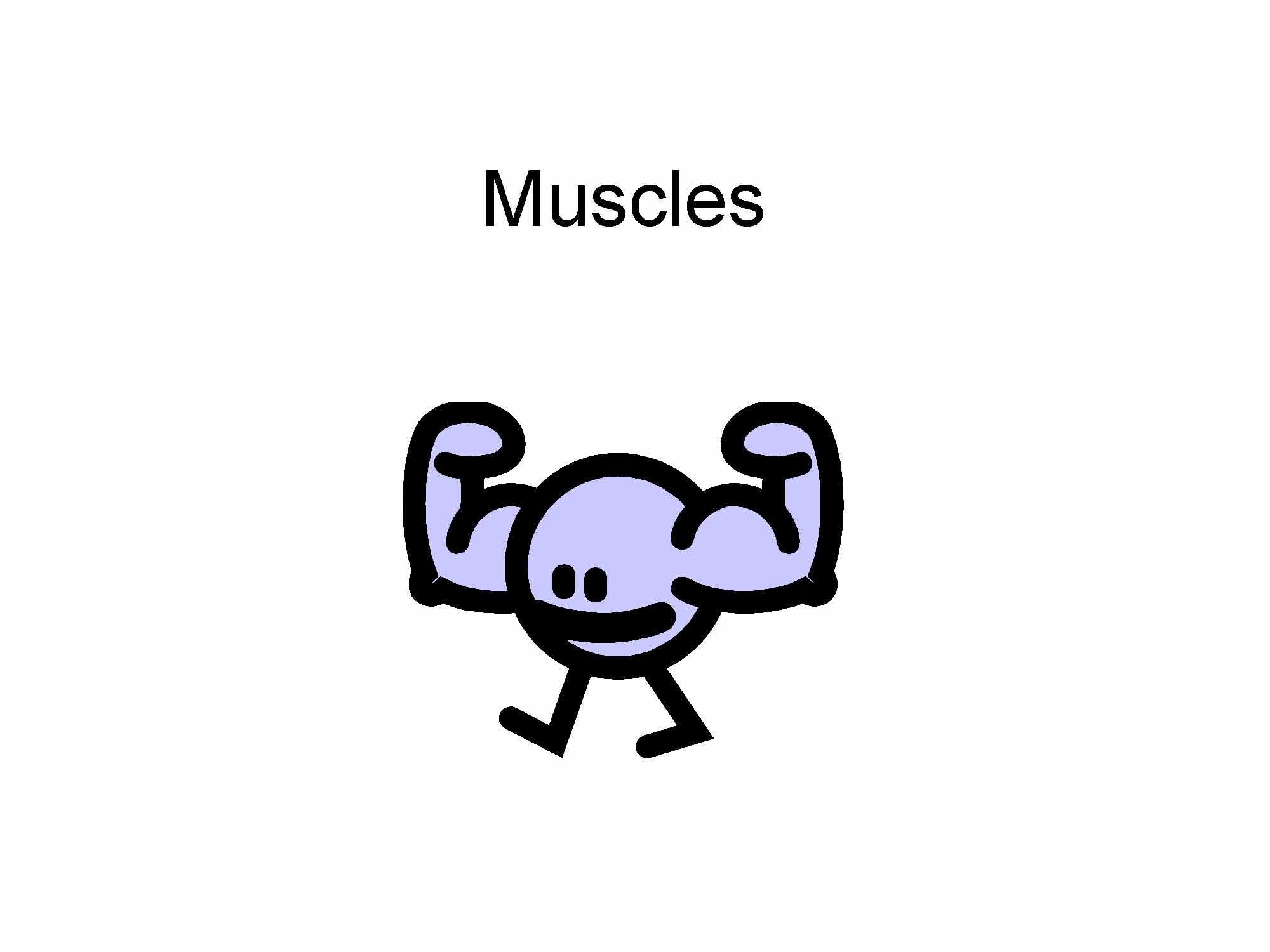 Anatomy and Physiology I