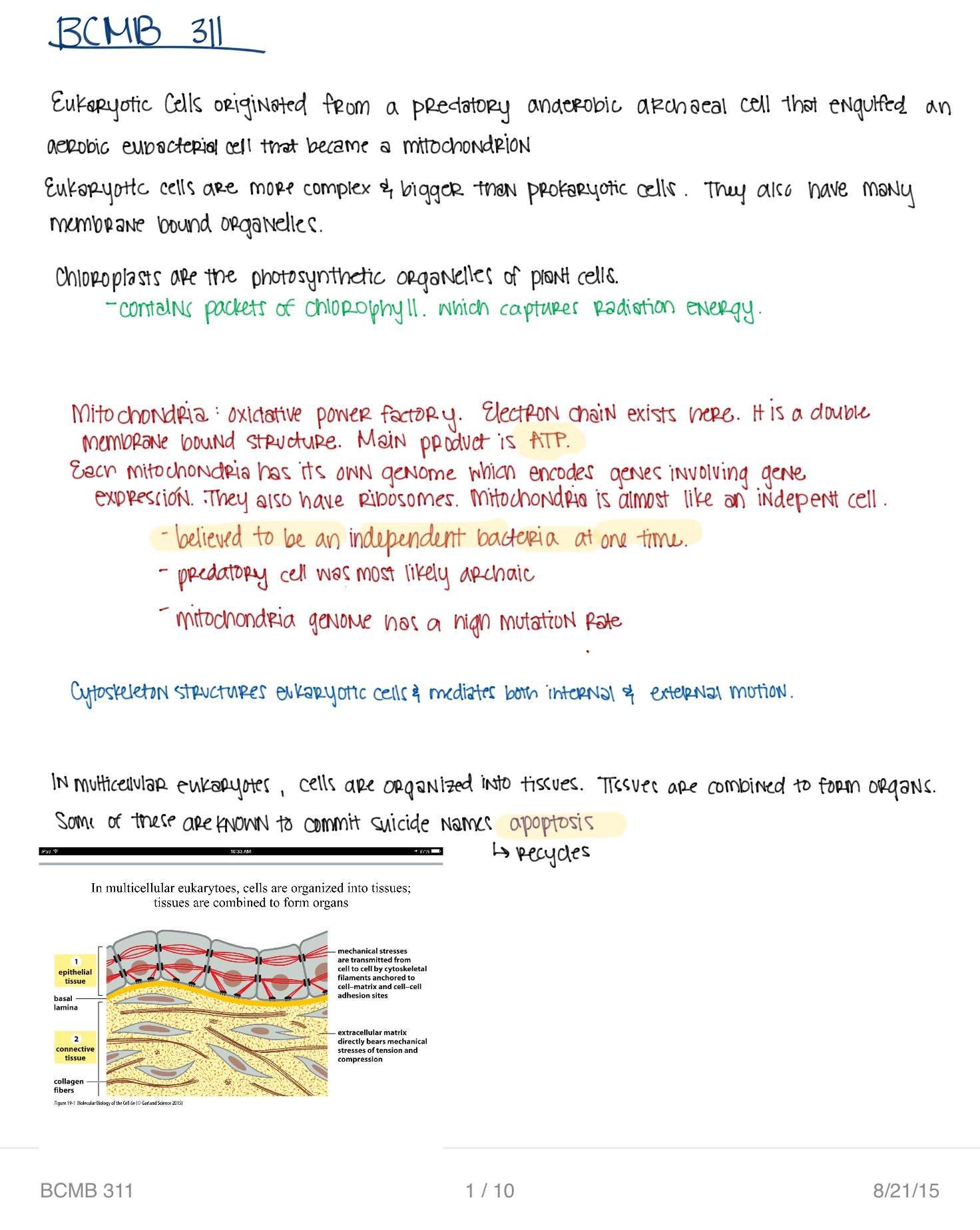 Introduction and Microscopy