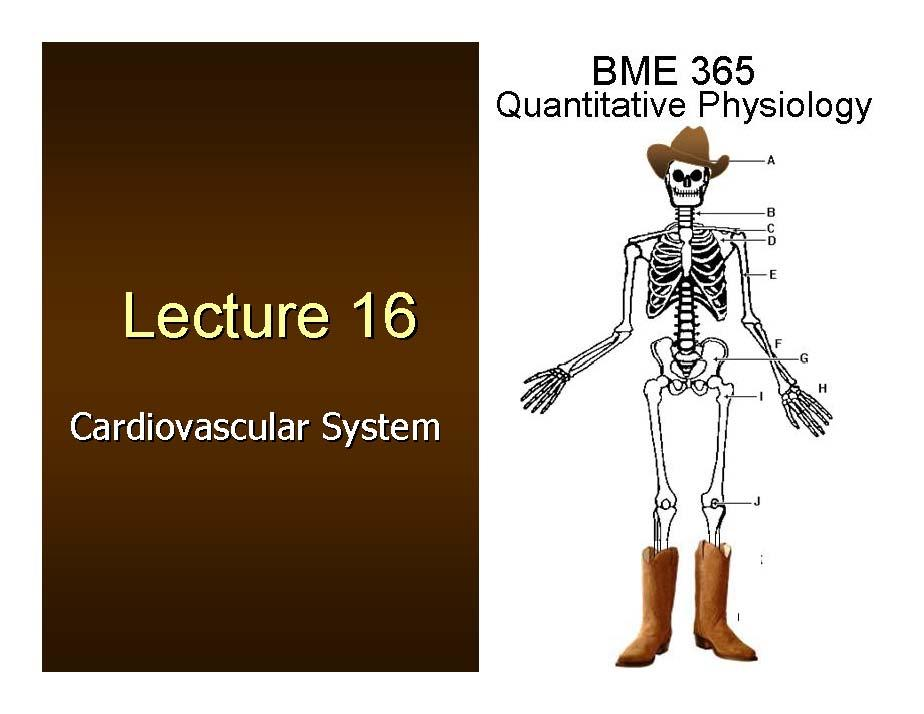 QUANTITATIVE ENGR PHYSIOL I
