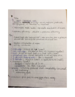 Macro Week 2 Notes