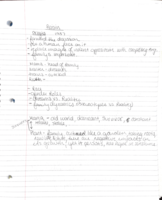 raisin and harold notes