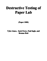 Destructive Paper Lab