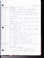 Week 5 Notes Lecture and Video Notes- Anthropology