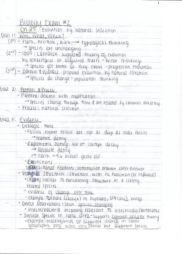 Exam 2 CH 25-28