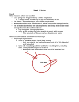 Week 1 Notes