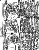 Meiosis and Mitosis Notes 
