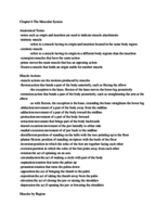 Chapter 6 The Muscular System 