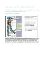 Understanding Micelles, pK values, pI, and the titration of Amino Acids