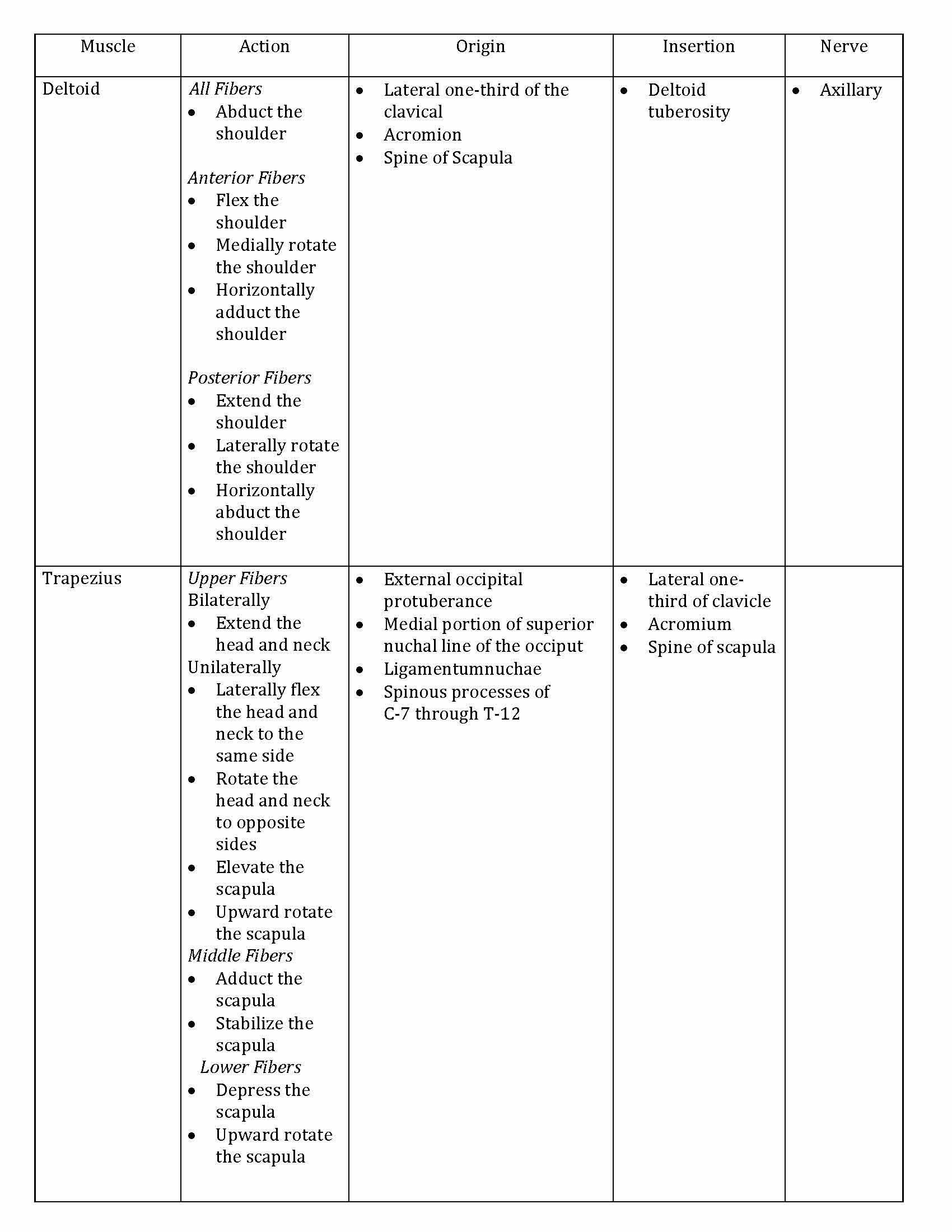 Biophys Found of Hum Movt