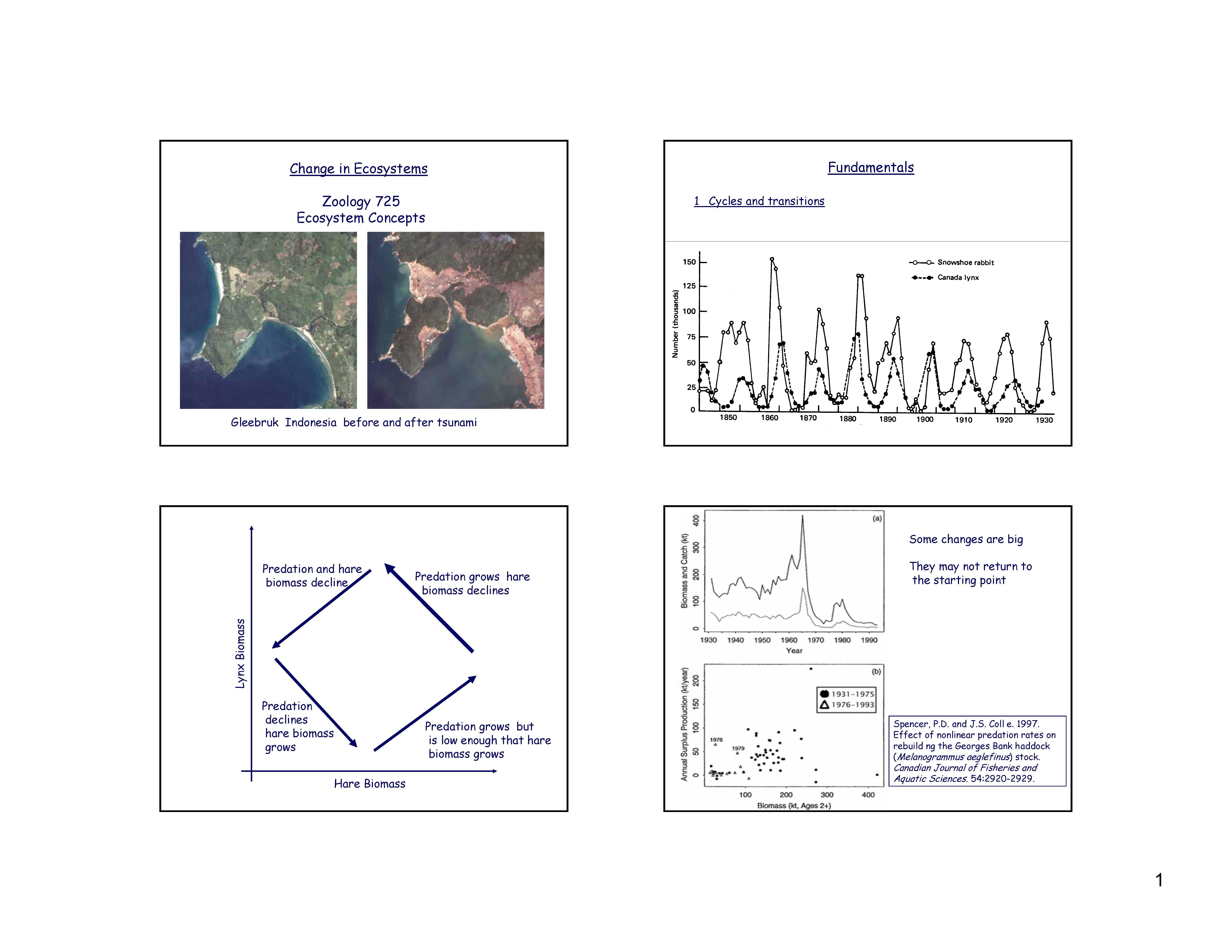 Ecosystem Concepts