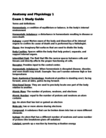 Anatomy and Physiology Chapters 1 and 2 Study Guide