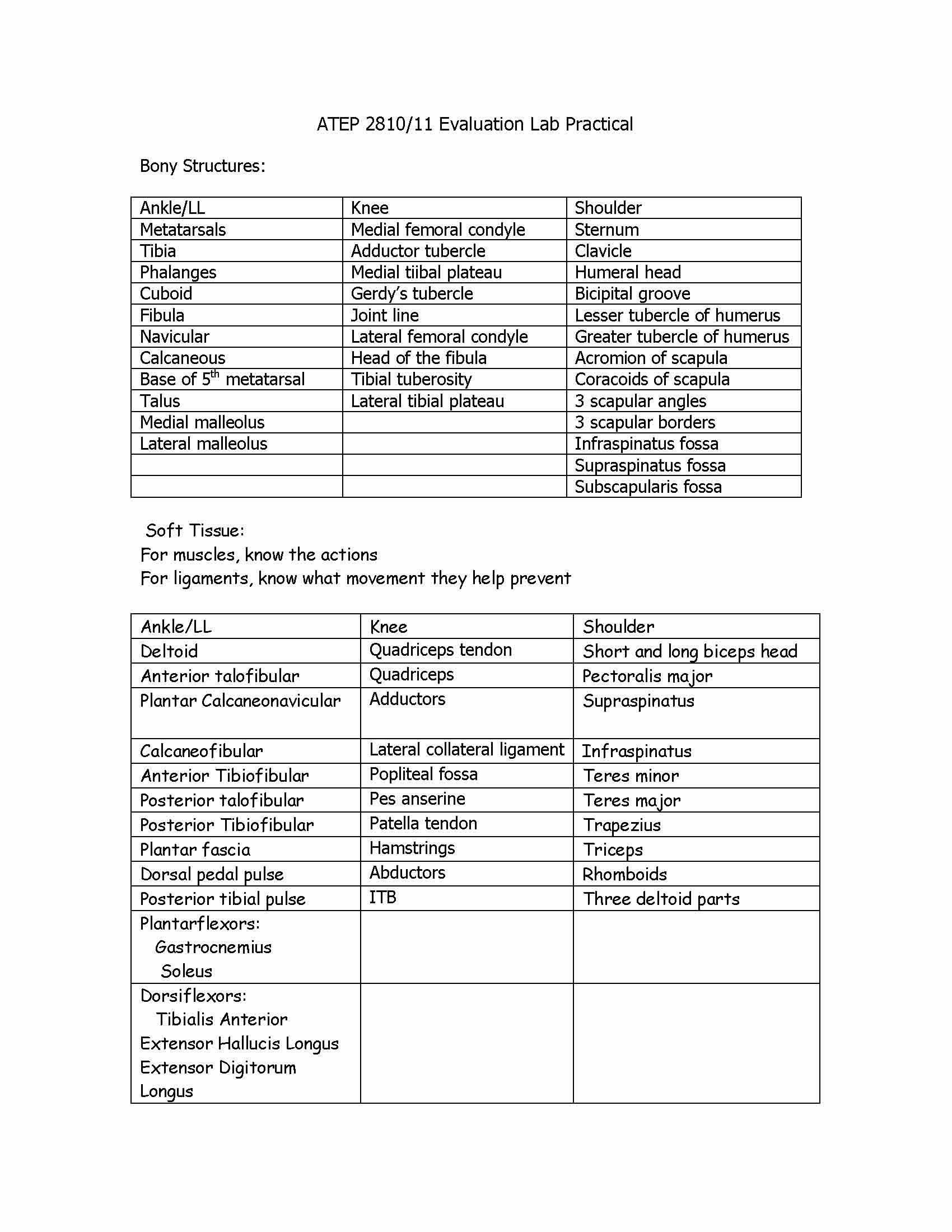 Principles of Athletic Training