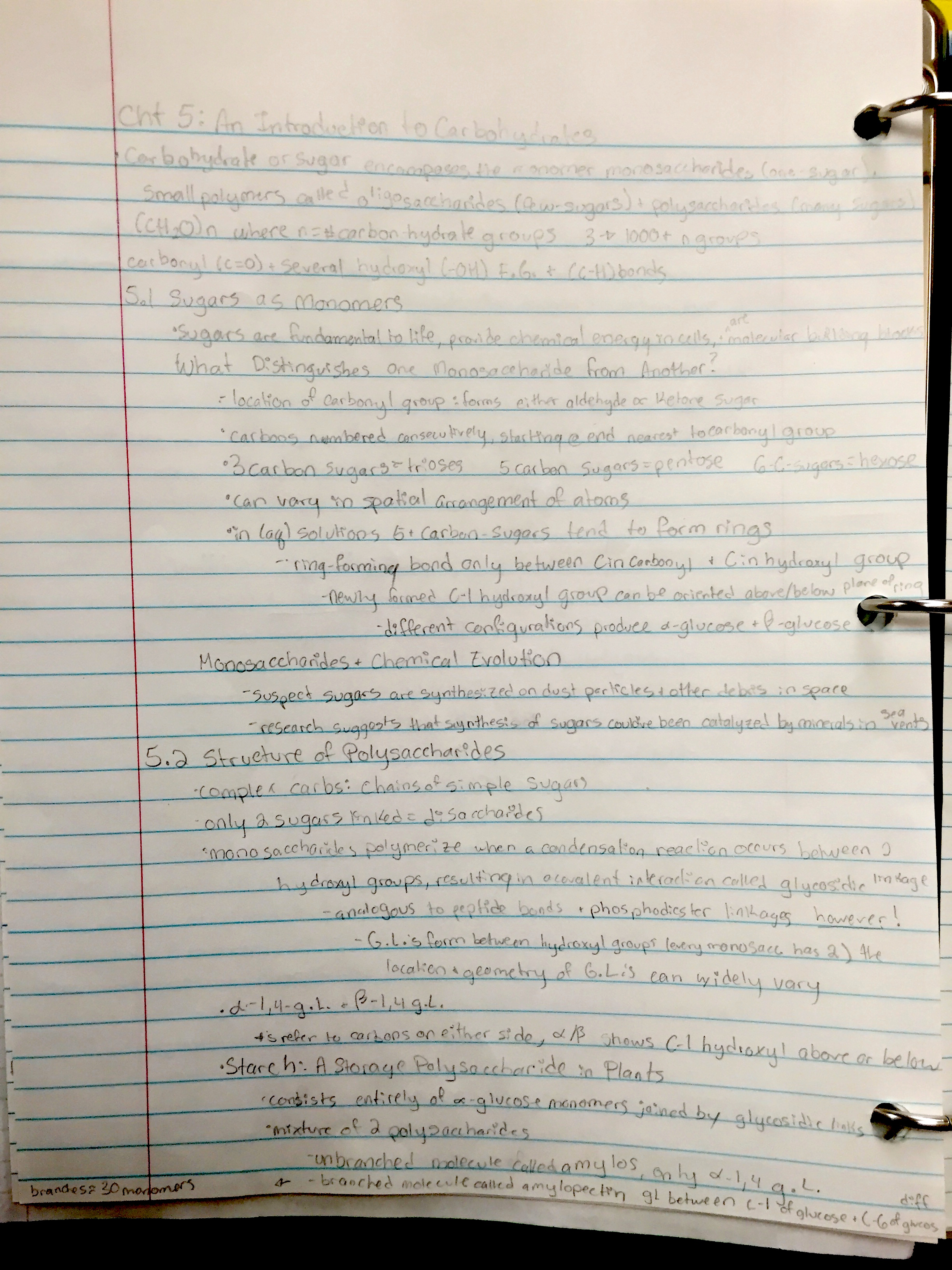 Week 2 Notes